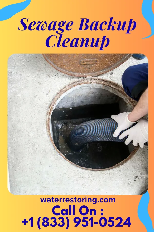 Sewage Backup Cleanup in Firth, NE