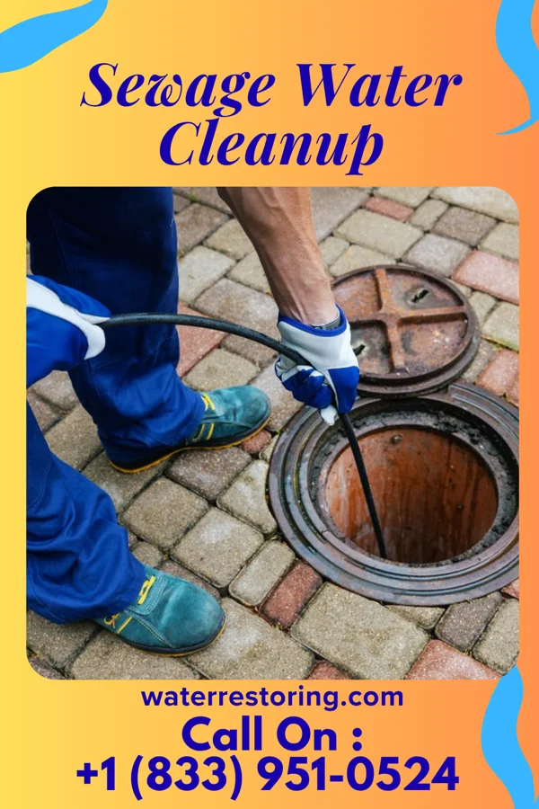 Sewage Water Cleanup in Firth, NE